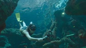 TELESIN 85cm Underwater Waterproof Selfie Stick Wireless Bluetooth Remote Control for GoPro HERO 13 12 11 10 9 8