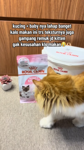 4kg Royal Canin Mother Babycat Dry Food Baby Cat Pet Health Nutrition Nursing Kitten Pregnant