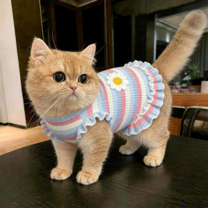 Anti-Shedding Breathable Pet Clothing