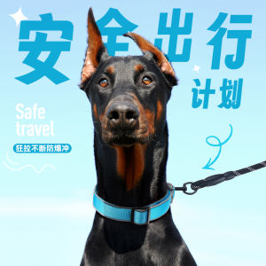 Reflective Dog Collar - Soft & Breathable Nylon Collar with Double Reflective Strips Adjustable Buckle for Safety All-Season Use (Black/Red/Yellow/Grey/Blue/Dark Blue S/M/L)