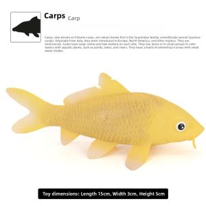 Realistic Fish Models