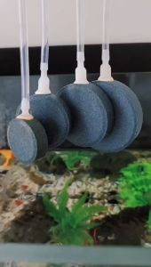 หัวทรายอ๊อกปลา หัวทรายตู้ปลา หัวทรายใหญ่ หัวทรายละเอียด หัวทรายแบบจาน หัวทรายอ๊อก เพิ่มออกซิเจนตู้ปลา บ่อปลา Air Stone