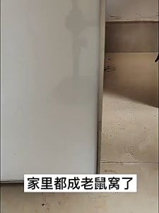 เครื่องไล่หนู(10 แคปซูล/ถุง) สูตรพืชมีกลิ่นแรง ขับไล่ในระยะยาว ใช้งานง่าย ลูกเหม็นไล่หนู กำจัดหนูในบ้านกำจัดห