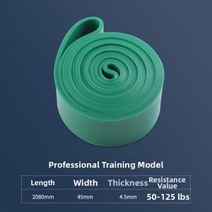 fitlook | Assisted Pull-Up Resistance Training Belt