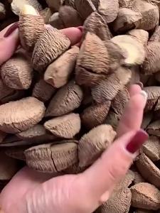 Fresh Raw Shell Pregnant-Friendly Nuts
