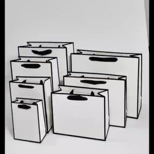5pcs |  White Paper Bag W/ Black Border Gift Craft Paper Gift Plain Rope Handle Hand bag