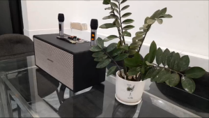 Loa Xách Tay Karaoke Công Suất 1088  Bọc Da  2  Bass 20  Hiệu Chỉnh EchoKết Nối: Bluetooth 5.0 AUXUSB Hát Karaoke Cực Hay Kèm 2 Micro Không Dây