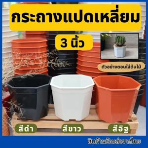 SET 10 ใบ กระถางแปดเหลี่ยม  3 นิ้ว พร้อมส่งจากไทย กระถางพลาสติก กระถางแคคตัส