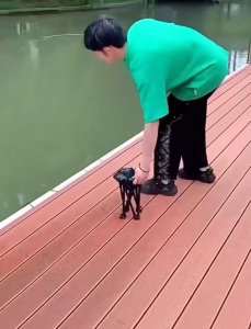 เก้าอี้สนาม เก้าอี้พับกลางแจ้ง เก้าอี้ปิคนิค เก้าอี้แคมป์ปิ้ง เก้าอี้พับได้พกพาสะดวก วัสดุผ้า 2 ชั้น นั่งสบายกันละอองน้ำได้ฐานกันลื่นทนทานต่อการสึกหรอรับน้ำหนักได้ดี 120กก.