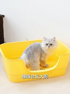 ห้องน้ำหมา ห้องน้ำแมว ห้องน้ำสัตว์เลี้ยง ขนาดใหญ่ กระบะทรายชอบสูง กันกระแทก แมวโตเข้าสบาย กระบะทรายแมวพกพา พร้อมส่งในไทย