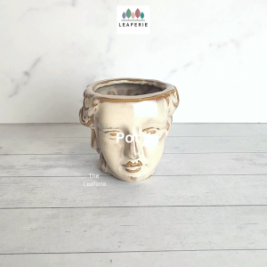 The Leaferie Petit pots (Series 1) .plant .  mini small flowerpot . flowerpots . plant pots ceramic . planter . planters