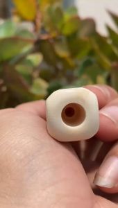 once pipa gading asli lokal gg segilapan 12cm tebal mulus