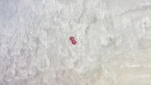 Analog Caps for Joy con Nintendo Switch 1 คู่ ลายการ์ตูน (ที่ครอบอนาล็อก Switch)(จุกจอย switch)(ที่ครอบอนาล็อค Switch)(จุก switch)(จุกอนาล็อค)