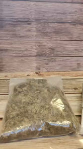 Hedgehog Planet dried moss bedding