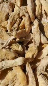 ĐẶC SẢN XÁ BẤU- BẠC LIÊU 1 kg 500gr