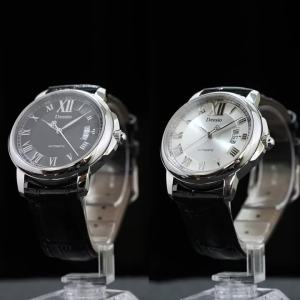 Deesio Automatic Mechanical Watch for Men Stainless Steel Case Water Resistant Self-Winding Luxury Casual Watches Gift for Men