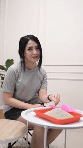 MURAH PASIR KUCING GUMPAL WANGI 6 LITER PASIR MAHKOTA PREMIUM