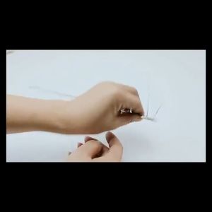 Bird Spikes Stainless Steel Animal Repeller Chase Birds Repellent Mat Spikes Device Roof Top