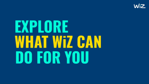 WiZ SMART PLUG UK PLUG