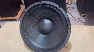 BEIJI Professional speaker dual 12inci 15 inch Dual 220magnetic. 100 core 1000W