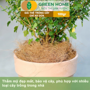 Mua 5 tặng 1 - Chỉ Xơ Dừa Greenhome Bao 100gr Chuyên Dùng Giá Thể Trồng Lan Kiểng Lá Đắp Gốc Giữ Ẩm Cây Trồng