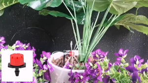 Combo 10 Béc tưới nhỏ giọt 8 tia - Đầu tưới điều chỉnh được lưu lượng - Tưới gốc cây bán kính 20-30cm