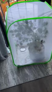 Pop-up Collapsible Insect Mesh Plant Cover Indoor Pot Vegetable Garden Supplies Items Outdoor For Seedlings Accessory Greenhouse