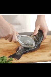 ที่ขอดเกล็ดปลา ที่สไลด์เกล็ดปลา ขูดเกล็ดปลา