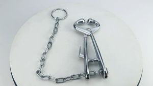 Alat Tindik Hidung Tang Penjepit Hidung Sapi Klip Sapi Alat Tarik With Chain Sapi Kerbau