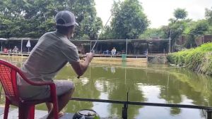 Cần lure Megabarra Frog Game II