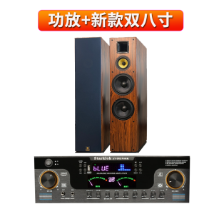 Professional High-Power Power Amplifier Bluetooth Lossless Karaoke Conference For Home Audio Optical Fiber Coaxial Can Be Connected to 15-Inch Speaker