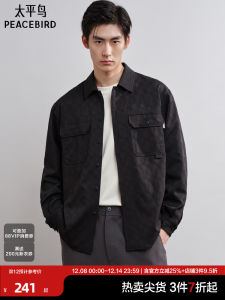 Peacebird Mens Casual Shirt Texture Floral Embroidery Trendy Spring Long Sleeve Button up Regular Fit Fashion Urban Wear