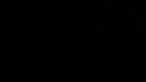 Bosch GDE18V-16 Professional Dust Extractor for GBH 18V-26 1600A0051M