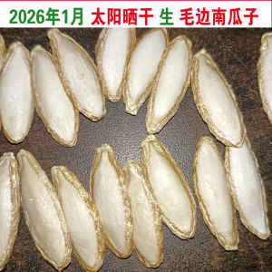 Original Flavor Sun-Dried Large Pumpkin Seeds from Yunnan 2025 Farmhouse Old Variety with Husk Snacks/Nuts/Local Specialties