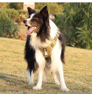 [on sale purple color size XL 30%off] สายจูงสุนัขเดินแบบสะท้อนแสงปรับได้-ปลอดภัยสบายและทนทานสำหรับการผจญภัยกลางแจ้งที่ปลอดภัย