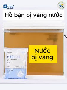 600g Purigen cao cấp Yee - Vật liệu lọc khử màu lũa nước bể cá thuỷ sinh Có Sẳn Túi Đựng