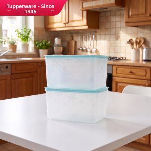 Tupperware | Freezer and Refrigerator Sealable Container 2.5L