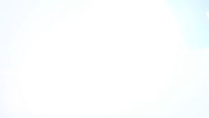 MAXSHINE Hydro-Tech Tire Gel Applicator ฟองน้ำทายางดำ ฟองน้ำเคลือบยาง  เคลือบพลาสติก คุณภาพสูง