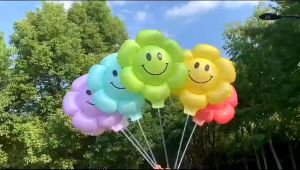 Balon Foil Stik Bunga Daisy Smile Led Balon Bunga Matahari Dekorasi Pesta