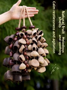 TAIMUJIA | Sound Healing Therapeutic Instruments Handmade from Natural Shells and Black Fruit