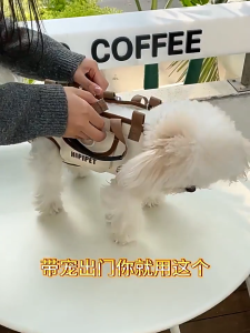 【Meoof】 Pet Travelling Bag Cat Dog Small Medium Dog Outdoor Messenger Bag Handbag 宠物外出包猫狗小型可斜跨手提包单肩包