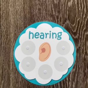 Bộ học liệu bóc dán Sắp xếp 5 giác quan Thị - Thính - Xúc - Vị - Khứu giác của con người - Giáo cụ montessori