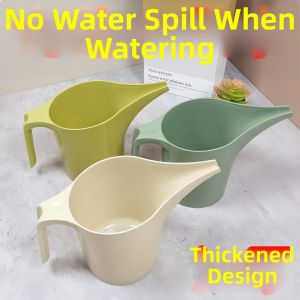 Long Spout Indoor Gardening Watering Can