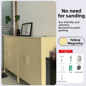 DAOXIN | Rust Preventive Color Changing Self-applicable Metal Paint Water-based