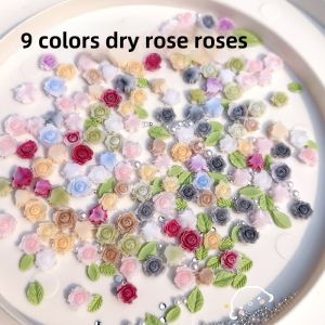 Mixed Sizes Rose And Chrysanthemum 3D Gradient Nail Art Decorations with Beads Pearls And Leaves for Beautiful Nails