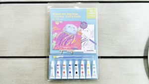 Tookyland 13pc Paint On Canvas Kit Safe for Kids