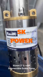 DAYUAN RAIJIN DYNAFLO Screw Pump Submersible Deep Well 50mm 2" 1HP 0.75HP 220V