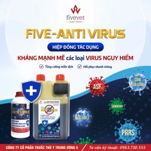 Five-Anti Virus Thức ăn bổ sung điện giải vỗ béo Dung dịch uống bổ sung vitamin acid hữu cơ và acid amin cho gia súc gia cầm