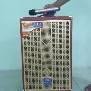 Loa Kéo Karaoke Công Suất Lớn - Loa Kéo Giá Rẻ Jagumax K-S302 - Loa Kéo Bluetooth Đọc Được Usb Thẻ Nhớ Tay Kéo Vân Gỗ - Tặng Kèm 2 Mic Bluetooth - Đại Phát Vĩnh Lộc