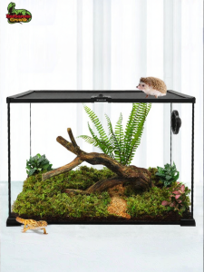 Tailwise | Rainforest Diorama Terrarium Tree Climbing Glass Reptile Keeping Enclosure